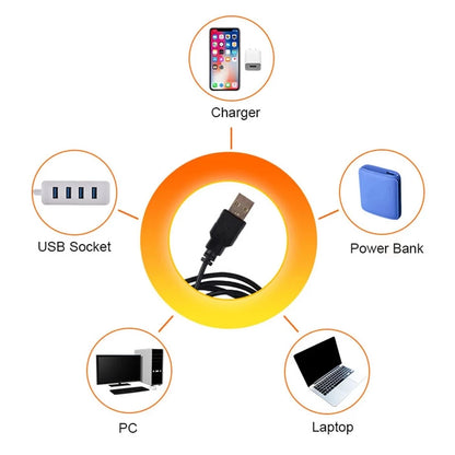 LED Sunset Projection Light